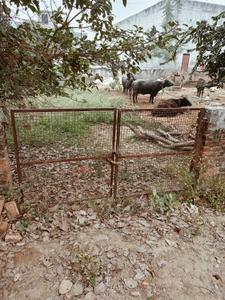 Image of 1800 Sq.ft Residential Plot / Land for sale in Gomti Nagar, Lucknow for Rs. 6300000