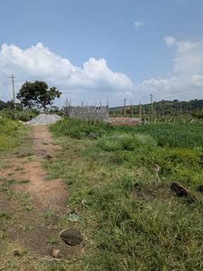 Residential Plot