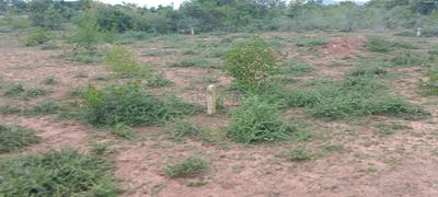Residential Plot