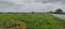Shadnagar Main Image 1