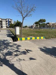 Ami greens Plot View 3
