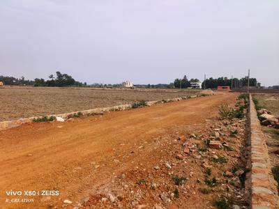 Gudiapokari plot Plot View 2