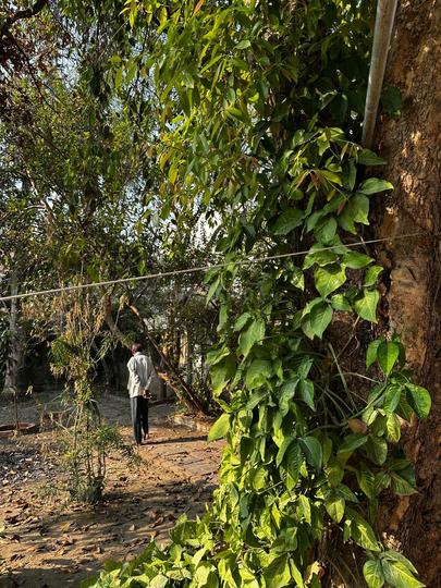 Vinoba Nagar Main Image 1