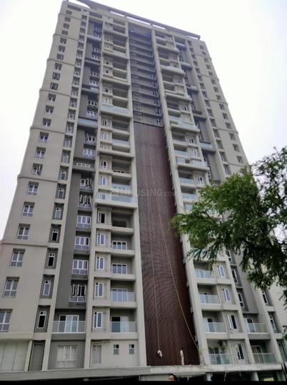 Merlin Iland Main Image 1