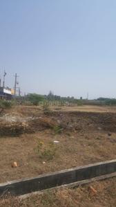 Agricultural Land