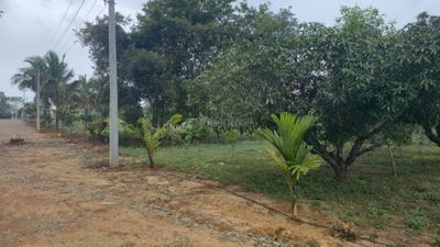 Image of 6000 Sq.ft Residential Plot / Land for sale in Hosur, Tumkur for Rs. 2994000