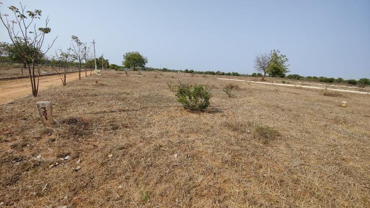 Image of 1350 Sq.ft Residential Plot / Land for sale in Saduvelly, Hyderabad for Rs. 1500000