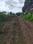 Amalapada Plot View 2