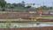 Barsana state Plot View 2