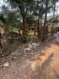 Image of 4356 Sq.ft Residential Plot / Land for sale in Kolazhy, Thrissur for Rs. 6500000