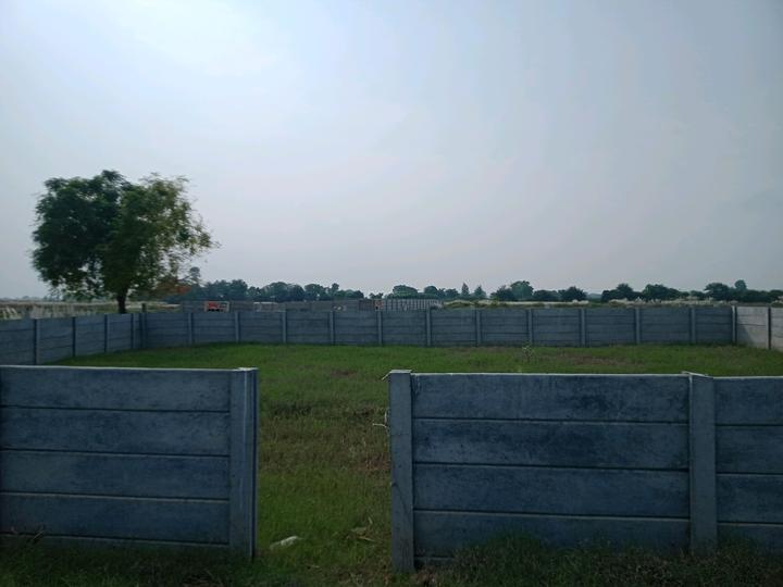 BDL GROUP ROYAL CITY Main Image 1