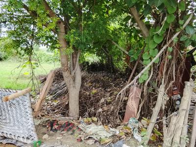 Chaumuhan Plot View 3