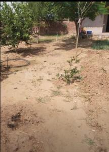 Residential Plot