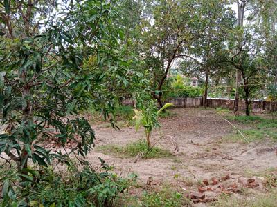 Image of 36624 Sq.ft Residential Plot / Land for sale in Chengannur, Alappuzha for Rs. 20000000