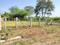Mandya Rural Plot View 2