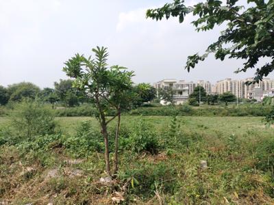 Image of 3150 Sq.ft Residential Plot / Land for sale in Sector 84, Faridabad for Rs. 59500000
