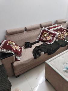 Bedroom Image of Rudra royal pg in Alpha I, Greater Noida
