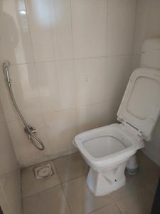 Common Bathroom Image of 600 Sq.ft 1 BHK Apartment / Flat for rent in Magarpatta Heliconia, Magarpatta City Pune for Rs. 25000