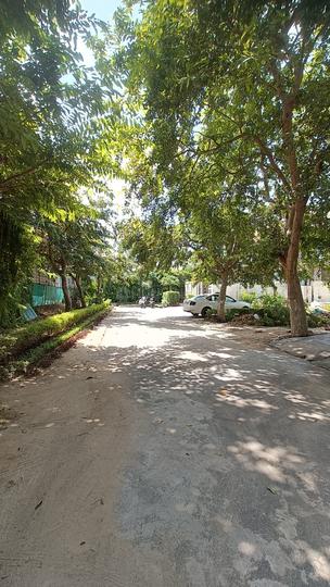 Sector 5 Main Image 1