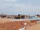 Shadnagar Plot View 2