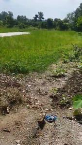 Image of 4000 Sq.ft Residential Plot / Land for sale in Haldwani, Nainital for Rs. 12800000