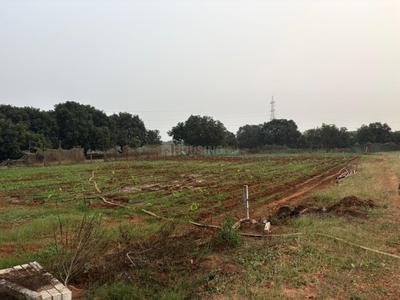 Image of 4356 Sq.ft Residential Plot / Land for sale in Nunna, Vijayawada for Rs. 1750000