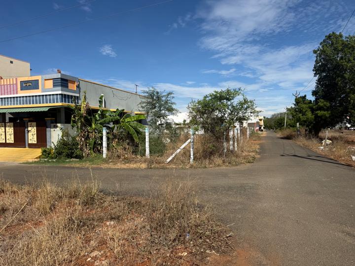 Pappampatti Pirivu Main Image 1