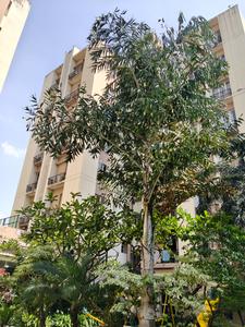 Image of 800 Sq.ft 2 BHK Apartment / Flat for sale in PS Equinox, Tangra, Kolkata for Rs. 8750000