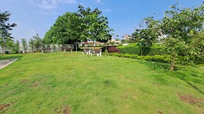 Image of 1250 Sq.ft Residential Plot / Land for sale in Golf Green Phase II, Sejbahar, Raipur for Rs. 3749000