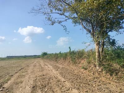 Bhauwala Plot View 1