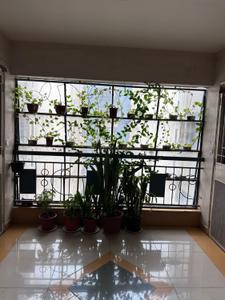 Image of 910 Sq.ft 2 BHK Apartment / Flat for sale in Nanded, Pune for Rs. 9700000