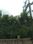 Metro Park Main Image 1
