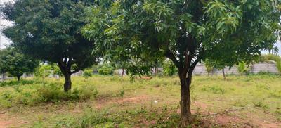 Image of 87120 Sq.ft Residential Plot / Land for sale in Maisigandi, Hyderabad for Rs. 110000000