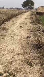 Masaurhi Plot View 3