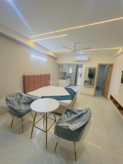 Hall Image of Homely Heaven in Sector 48, Gurgaon