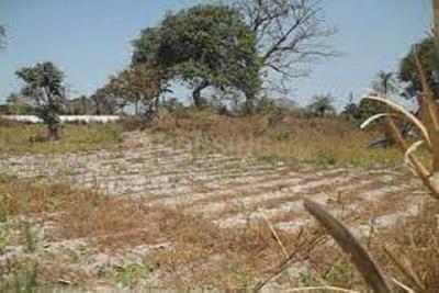 Image of 1440 Sq.ft Residential Plot / Land for sale in ASM Shree Jaswant Garden, Sector 14, Panchkula for Rs. 11577000