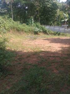 Image of 10890 Sq.ft Residential Plot / Land for sale in Killannur, Thrissur for Rs. 3125000