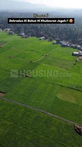 Vikasnagar Plot View 1
