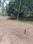 Kaiparambu Plot View 2