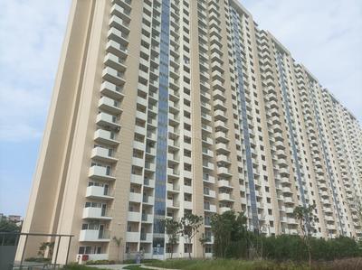 3.5 BHK Flat