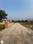 Kulhan Plot View 2