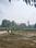 Laxmi Bihar Sultanpur road gosaiganj Main Image 1