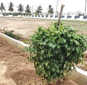 Image of 1200 Sq.ft Residential Plot / Land for sale in Allipuram, Nellore for Rs. 1660000