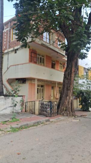 Vijay nagar Main Image 1