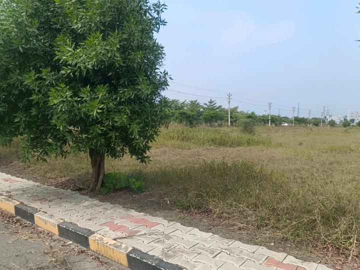 Devender Colony Plot View 1