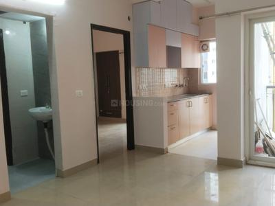 Hall Image of 535 Sq.ft 1 BHK Apartment / Flat for rent in Amrapali Dream Valley 2, Noida Extension Greater Noida for Rs. 15000