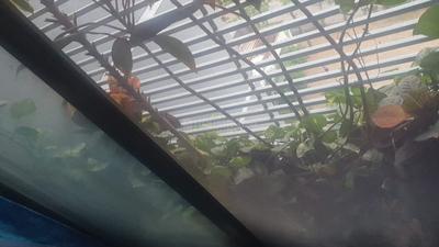 Balcony Image of 600 Sq.ft 2 BHK Apartment / Flat for sale in Changodar Ahmedabad for Rs. 3000000