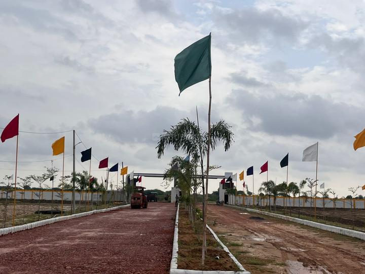 Tigariya Main Image 1