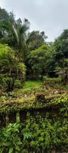 Image of 3550 Sq.ft Residential Plot / Land for sale in Assonora, Goa for Rs. 71000000