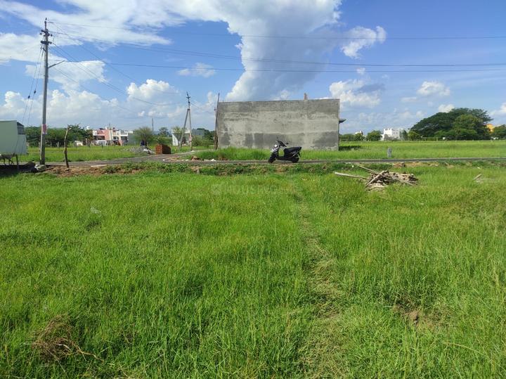 Vagaikulam Main Image 1